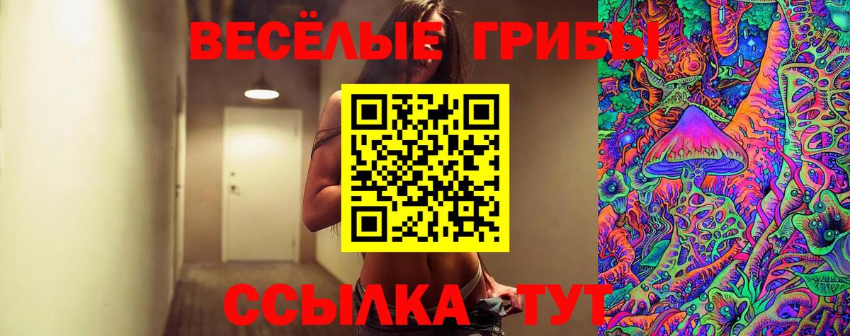 где найти   Псилоцибиновые грибы Magic Shrooms  Вход с VPN  Нягань  Псилоцибиновые грибы ЛСД 